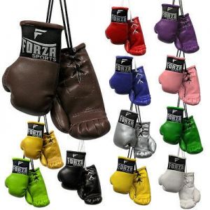 Everything is cheap Sport Forza Sports Mini Boxing Gloves